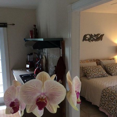 Mediteranean Style Ohana Rental / Garden Bungalow In Pahoa Honolulu Landing 外观 照片