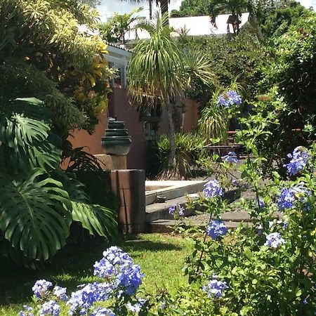 Mediteranean Style Ohana Rental / Garden Bungalow In Pahoa Honolulu Landing 外观 照片