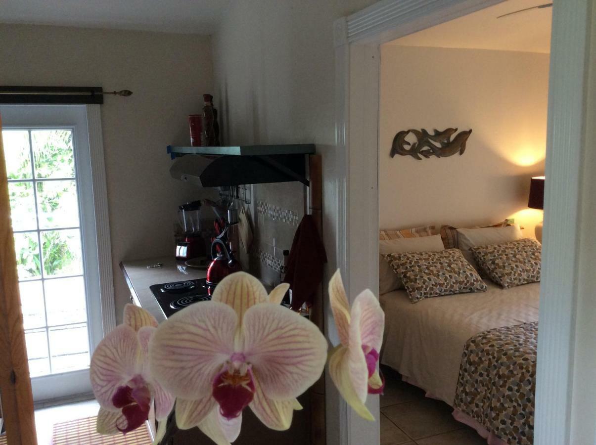 Mediteranean Style Ohana Rental / Garden Bungalow In Pahoa Honolulu Landing 外观 照片