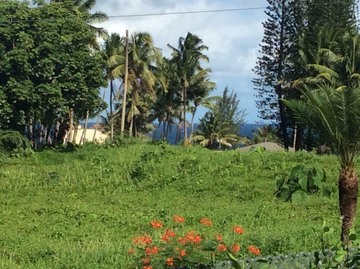 Mediteranean Style Ohana Rental / Garden Bungalow In Pahoa Honolulu Landing 外观 照片