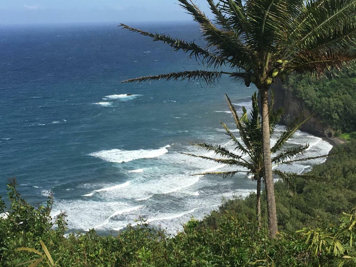 Mediteranean Style Ohana Rental / Garden Bungalow In Pahoa Honolulu Landing 外观 照片
